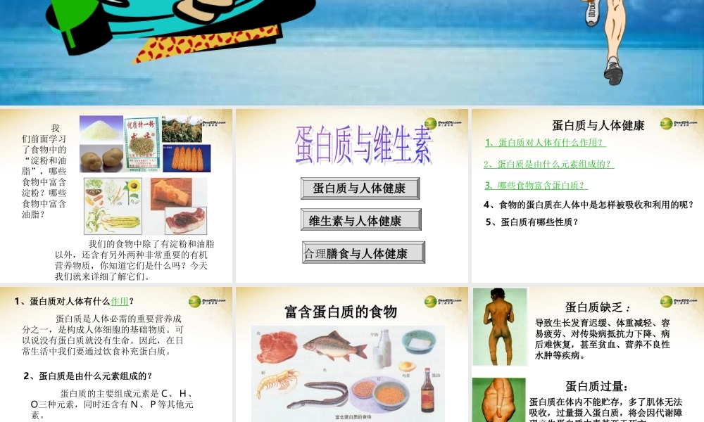沪教初中化学九下《8第3节 蛋白质 维生素》PPT课件 (8).ppt