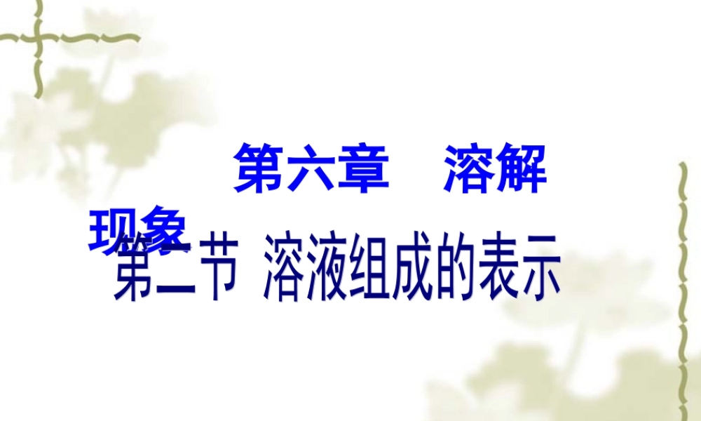 沪教初中化学九下《6第2节 溶液组成的表示》PPT课件 (5).ppt