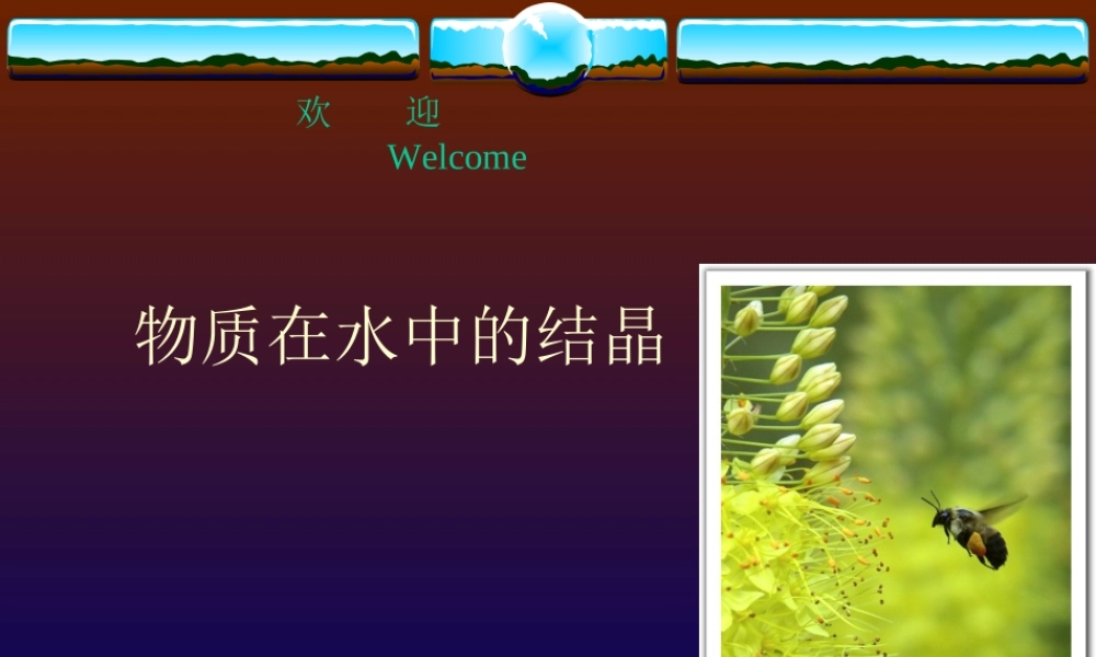 沪教初中化学九下《6第3节 物质的溶解性》PPT课件 (2).ppt