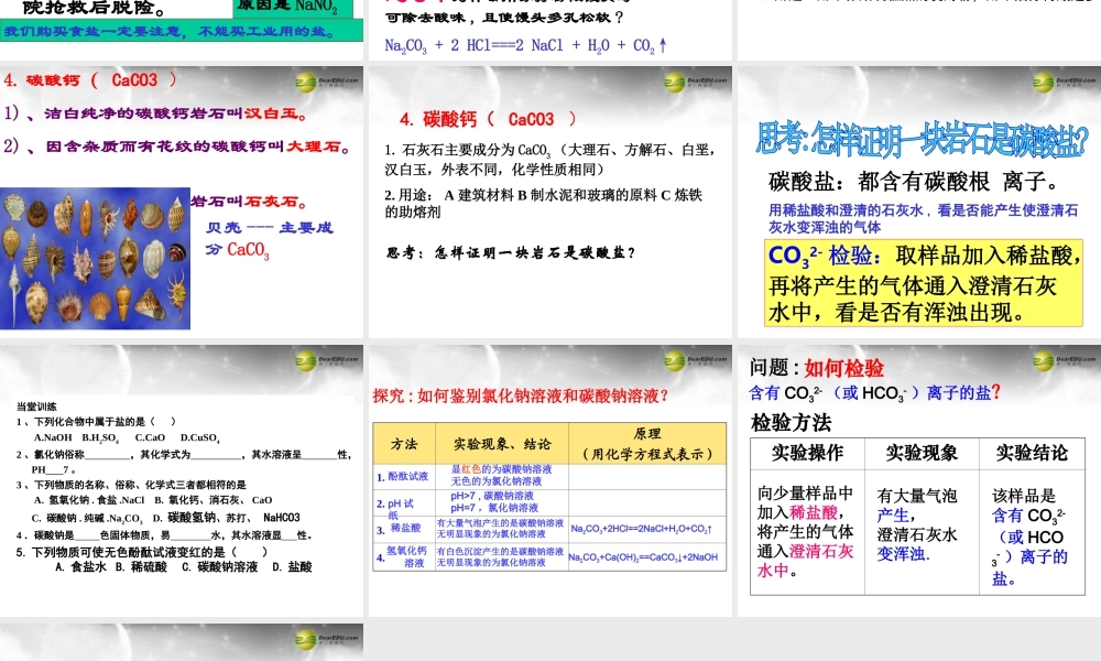 沪教初中化学九下《7第3节 几种重要的盐》PPT课件 (1).ppt