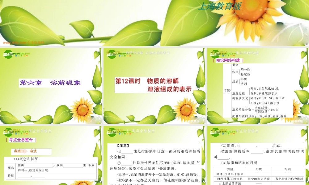 沪教初中化学九下《6第6章 溶解现象》PPT课件 (6).ppt