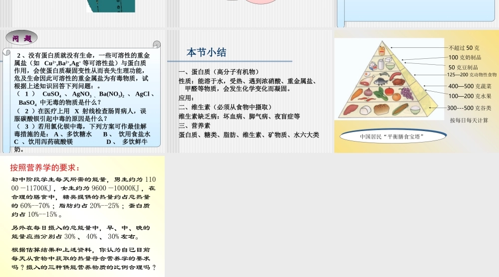 沪教初中化学九下《8第3节 蛋白质 维生素》PPT课件 (7).ppt