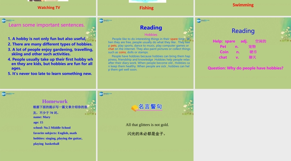 冀教初中英语八上《Lesson 38 Hobbies Are Fun!》PPT课件 (1).ppt