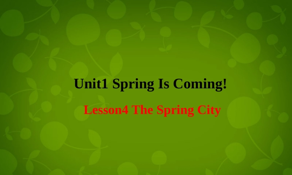 冀教初中英语八下《Lesson 4 The Spring City》PPT课件 (2).ppt