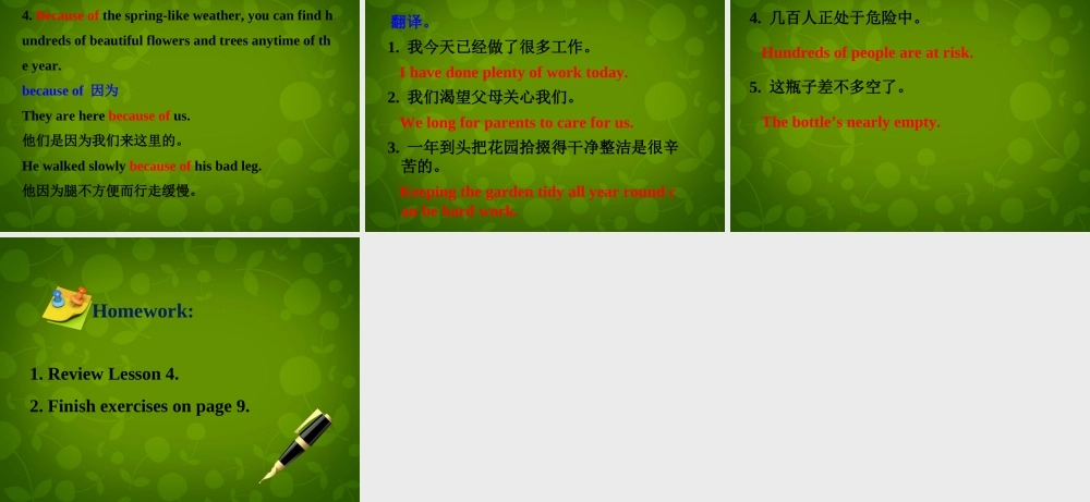 冀教初中英语八下《Lesson 4 The Spring City》PPT课件 (2).ppt