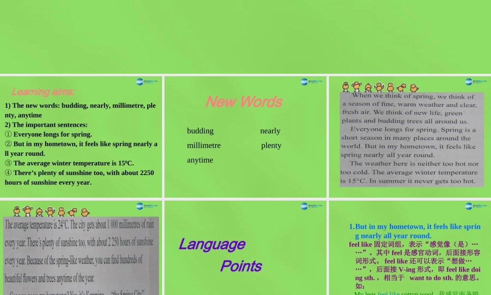 冀教初中英语八下《Lesson 4 The Spring City》PPT课件 (1).ppt