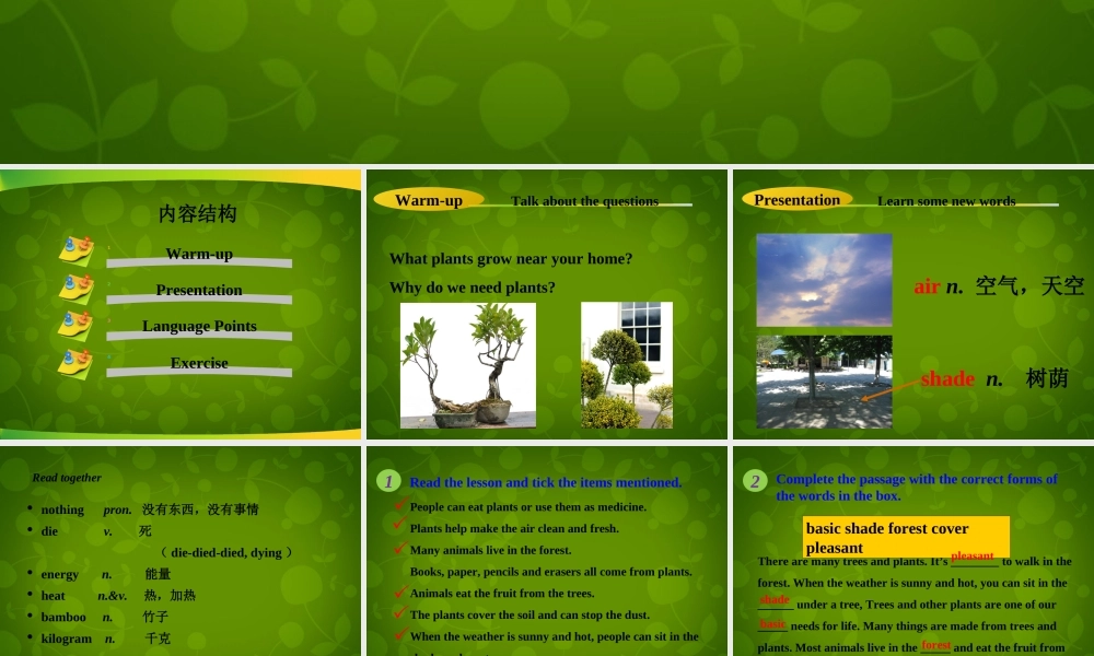 冀教初中英语八下《Lesson 8 Why Are Plants Important》PPT课件 (2).ppt