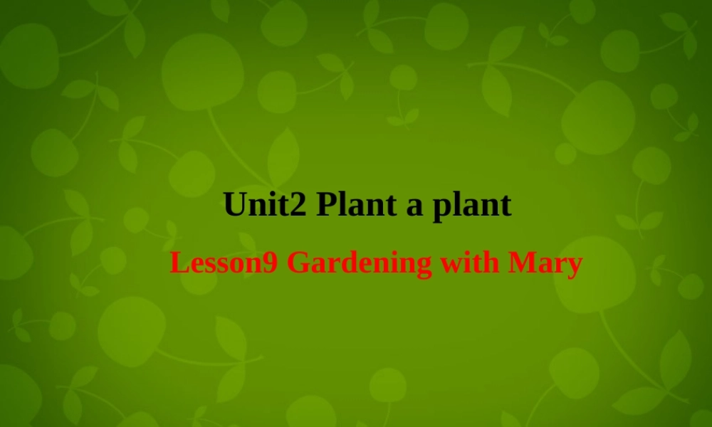 冀教初中英语八下《Lesson 9 Gardening with Mary》PPT课件 (2).ppt