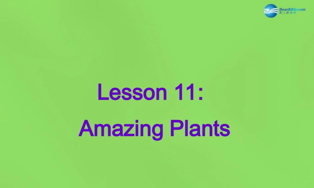 冀教初中英语八下《Lesson 11 Amazing Plants》PPT课件 (1).ppt