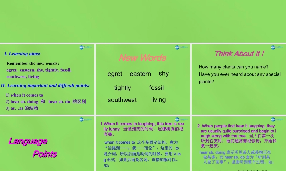 冀教初中英语八下《Lesson 11 Amazing Plants》PPT课件 (1).ppt