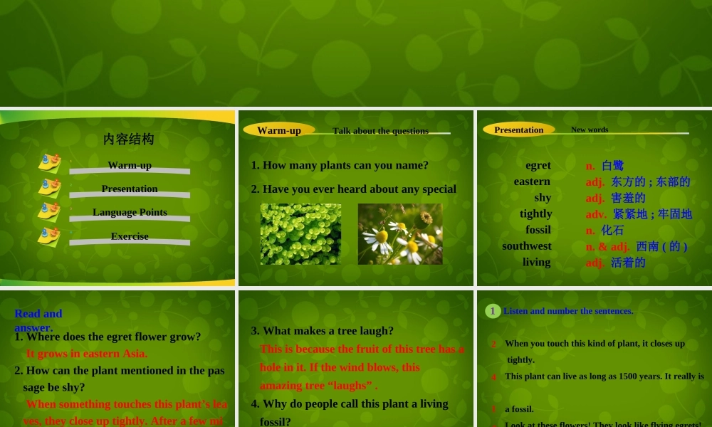 冀教初中英语八下《Lesson 11 Amazing Plants》PPT课件 (2).ppt
