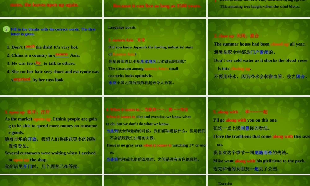 冀教初中英语八下《Lesson 11 Amazing Plants》PPT课件 (2).ppt