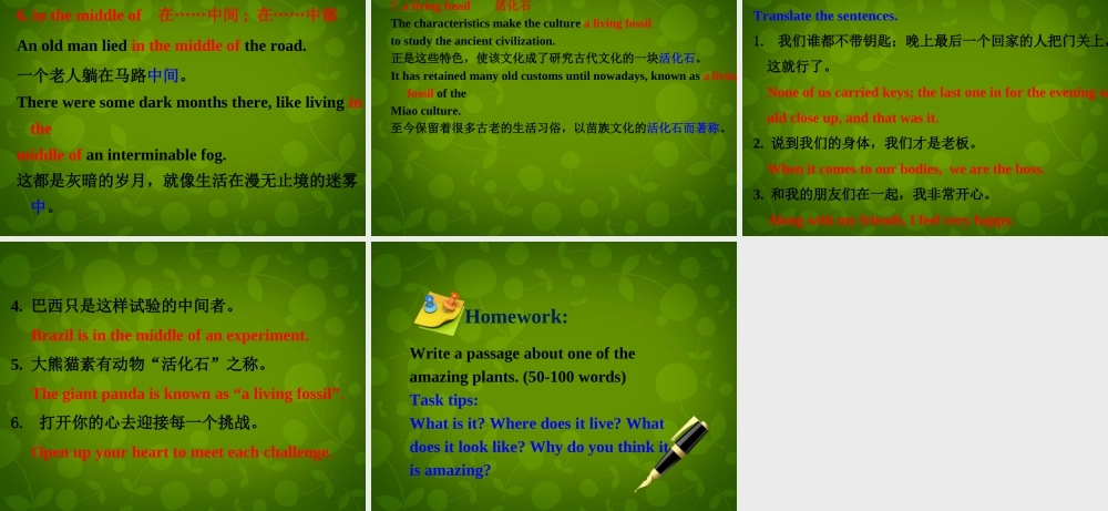 冀教初中英语八下《Lesson 11 Amazing Plants》PPT课件 (2).ppt