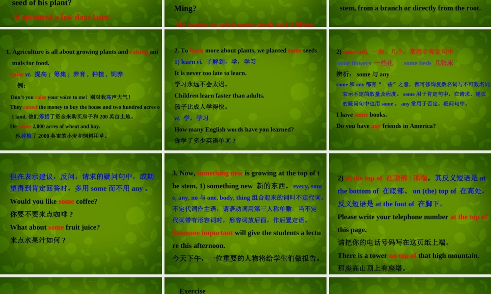 冀教初中英语八下《Lesson 12 Danny's Plant》PPT课件 (2).ppt