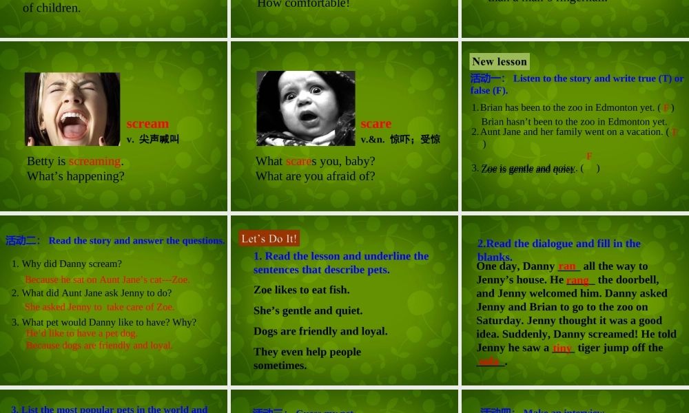 冀教初中英语八下《Lesson 13 Danny's Big Scare》PPT课 (2).ppt