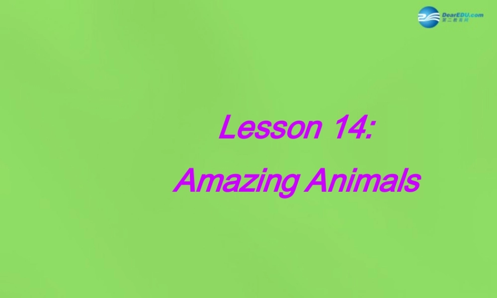 冀教初中英语八下《Lesson 14 Amazing Animals》PPT课件 (1).ppt