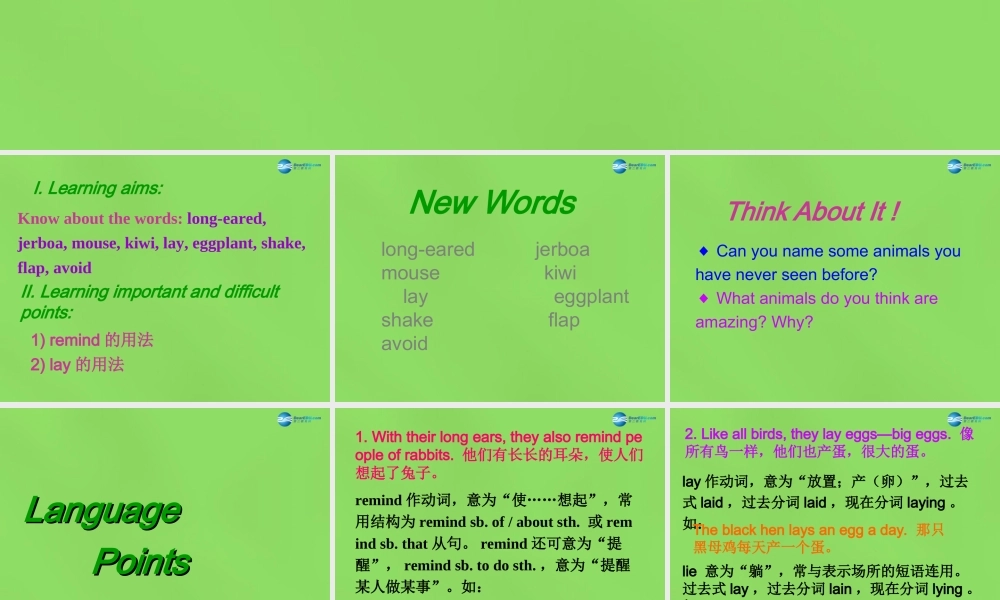 冀教初中英语八下《Lesson 14 Amazing Animals》PPT课件 (1).ppt