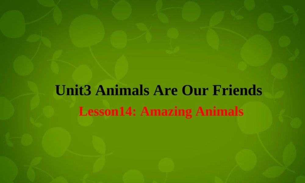 冀教初中英语八下《Lesson 14 Amazing Animals》PPT课件 (2).ppt