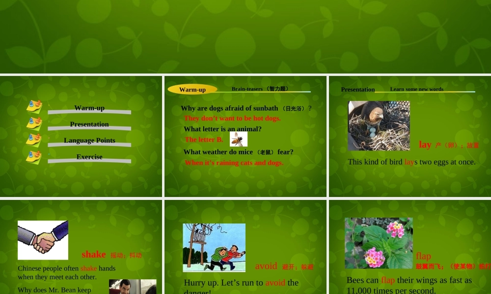 冀教初中英语八下《Lesson 14 Amazing Animals》PPT课件 (2).ppt