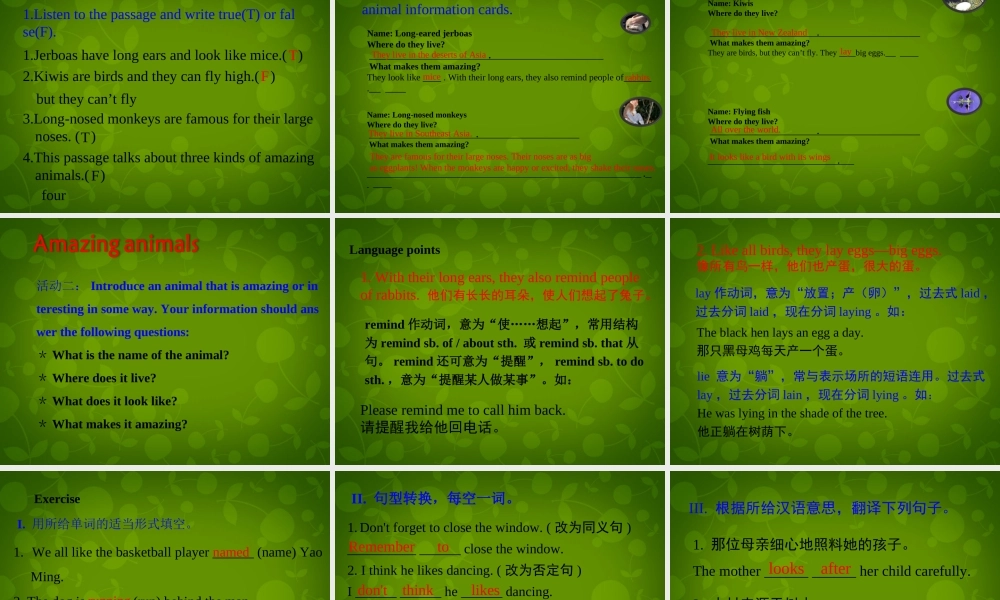 冀教初中英语八下《Lesson 14 Amazing Animals》PPT课件 (2).ppt