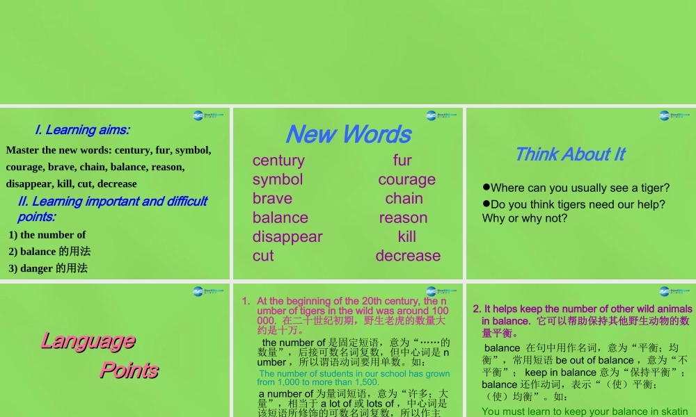 冀教初中英语八下《Lesson 17 Save the Tigers》PPT课件 (1).ppt