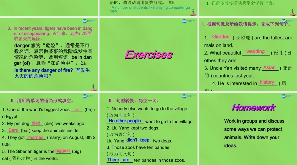 冀教初中英语八下《Lesson 17 Save the Tigers》PPT课件 (1).ppt