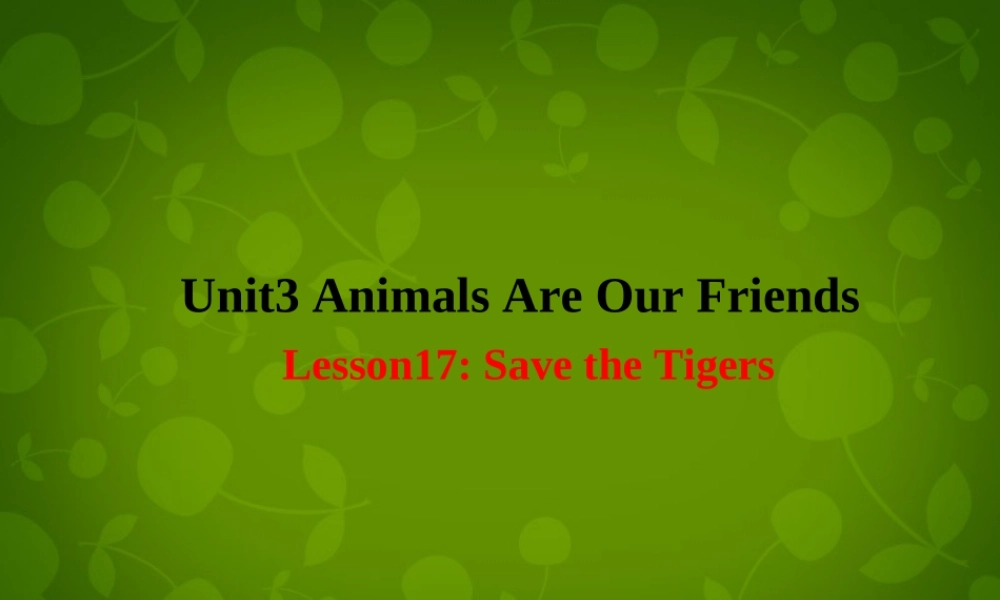 冀教初中英语八下《Lesson 17 Save the Tigers》PPT课件 (2).ppt