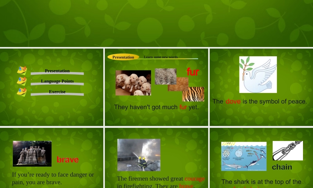 冀教初中英语八下《Lesson 17 Save the Tigers》PPT课件 (2).ppt