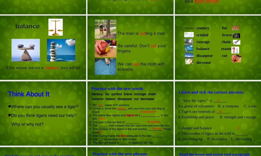 冀教初中英语八下《Lesson 17 Save the Tigers》PPT课件 (2).ppt