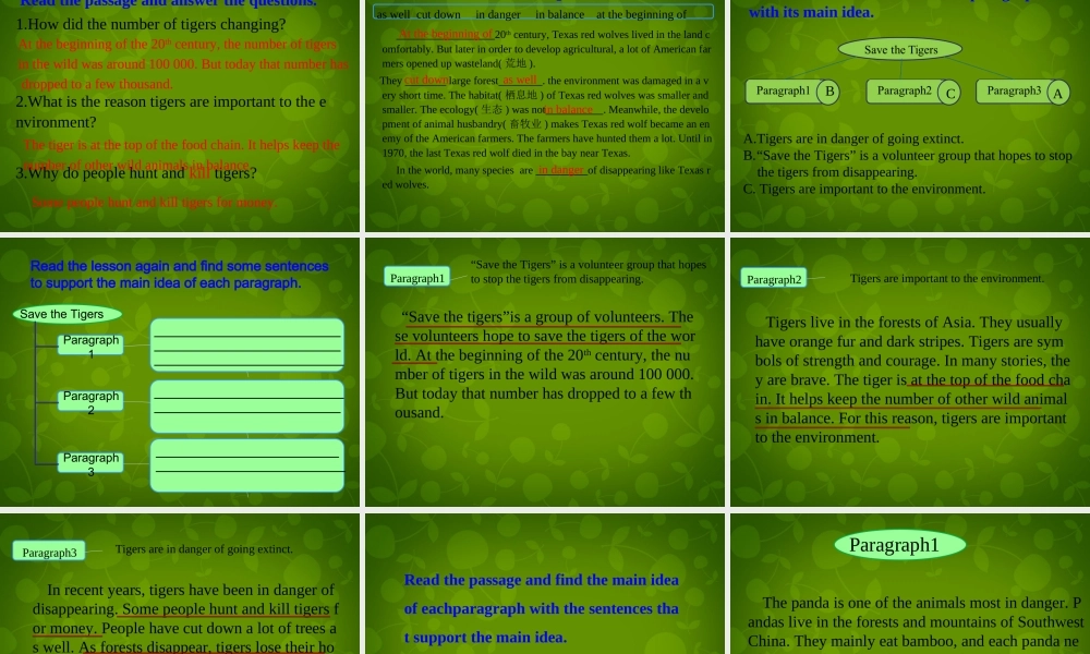 冀教初中英语八下《Lesson 17 Save the Tigers》PPT课件 (2).ppt