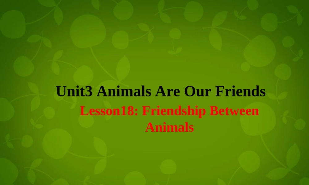 冀教初中英语八下《Lesson 18 Friendship Between Animals》PPT课件 (2).ppt