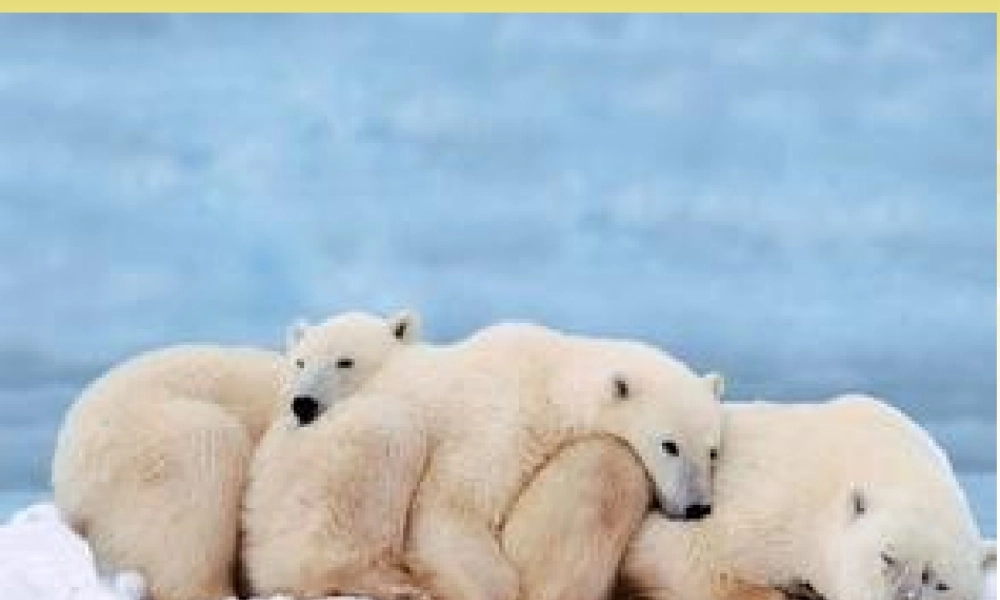 冀教初中英语八下《Lesson 38 The World Is a Big Place》PPT课件 (1).ppt