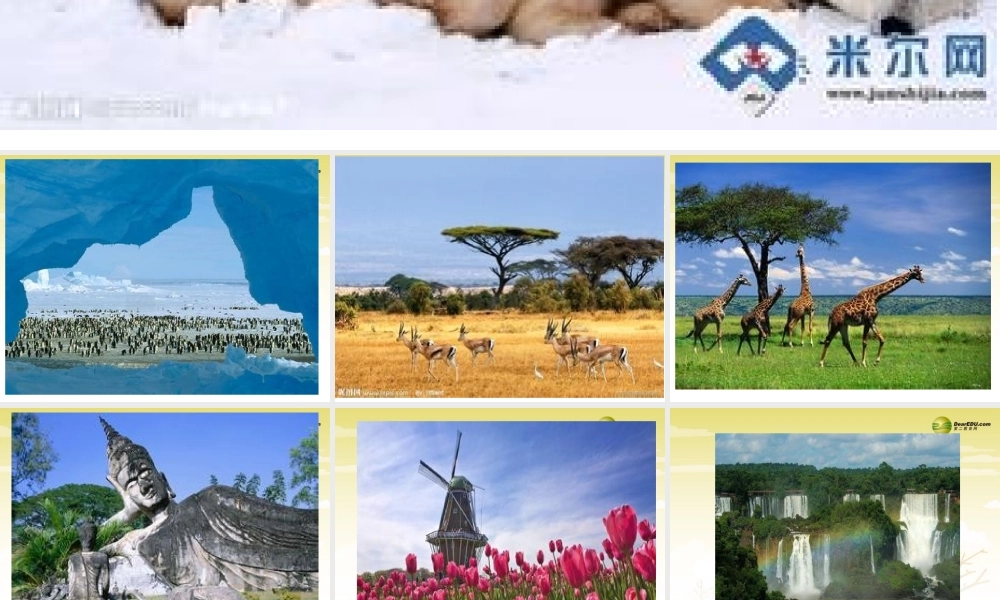 冀教初中英语八下《Lesson 38 The World Is a Big Place》PPT课件 (1).ppt