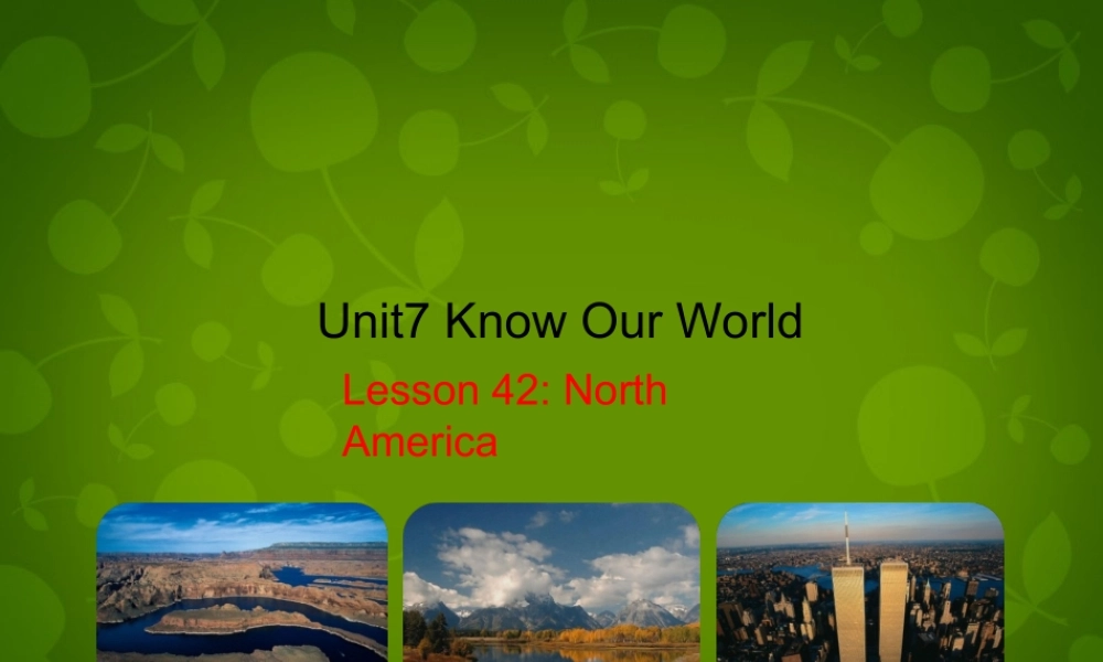冀教初中英语八下《Lesson 42 North America》PPT课件 (3).ppt