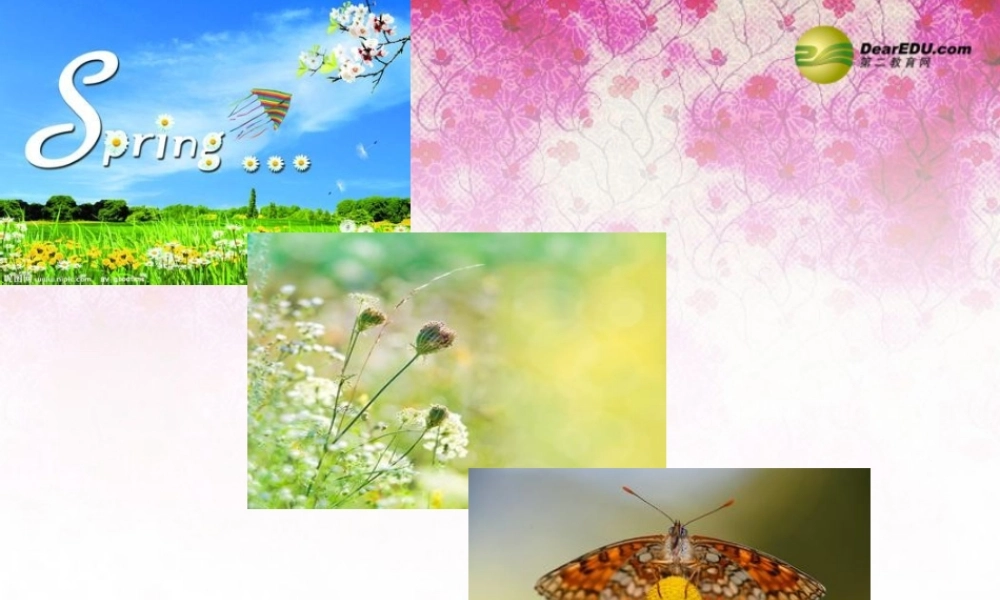 冀教初中英语八下《Lesson 47 Connected to Nature》PPT课件 (1).ppt