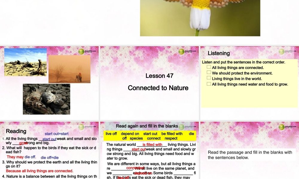 冀教初中英语八下《Lesson 47 Connected to Nature》PPT课件 (1).ppt