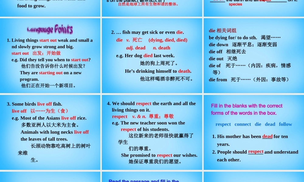 冀教初中英语八下《Lesson 47 Connected to Nature》PPT课件 (4).ppt