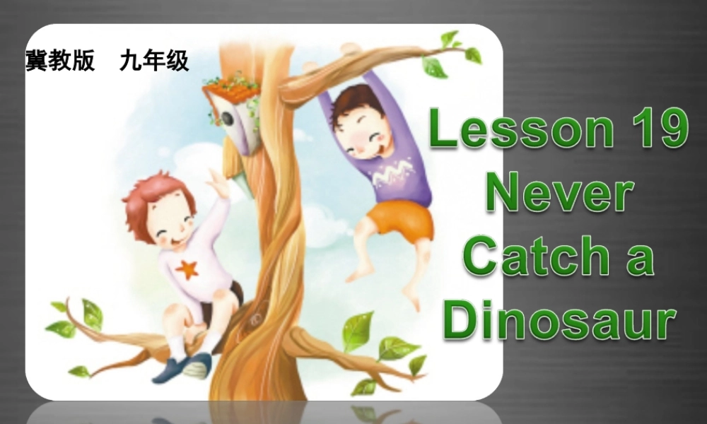 冀教初中英语九上《Lesson 18 Never Catch a Dinosaur 》PPT课件 (4).ppt