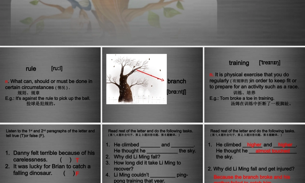 冀教初中英语九上《Lesson 18 Never Catch a Dinosaur 》PPT课件 (4).ppt