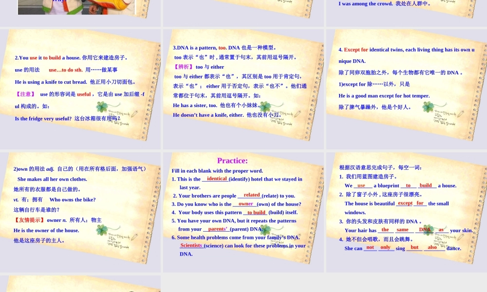 冀教初中英语九上《Lesson 29 DNA—The Story of You》PPT课件 (3).ppt