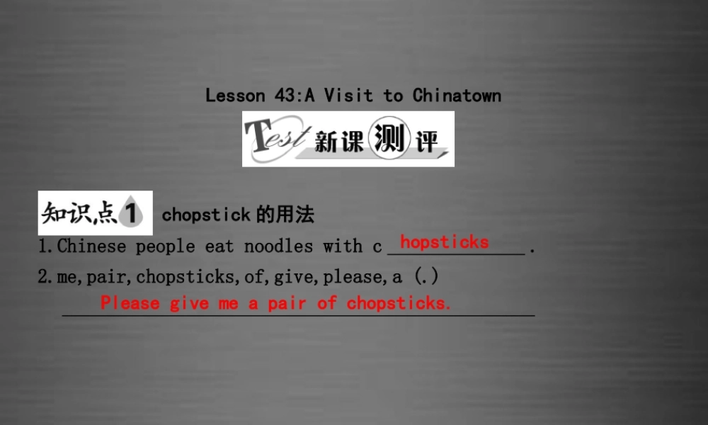 冀教初中英语九下《Lesson 43 A Visit to Chinatown》PPT课件.ppt