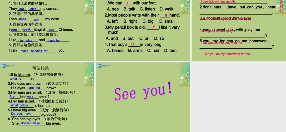 冀教初中英语七上《Lesson 13 Body Parts》PPT课件 (2).ppt