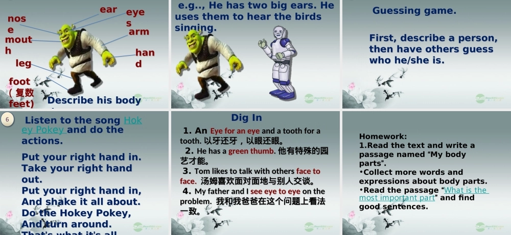 冀教初中英语七上《Lesson 13 Body Parts》PPT课件 (3).ppt