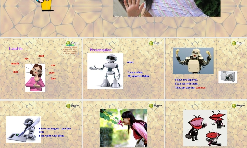 冀教初中英语七上《Lesson 13 Body Parts》PPT课件 (4).ppt