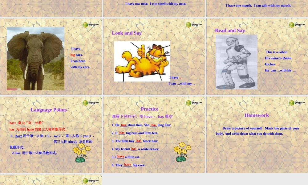 冀教初中英语七上《Lesson 13 Body Parts》PPT课件 (4).ppt