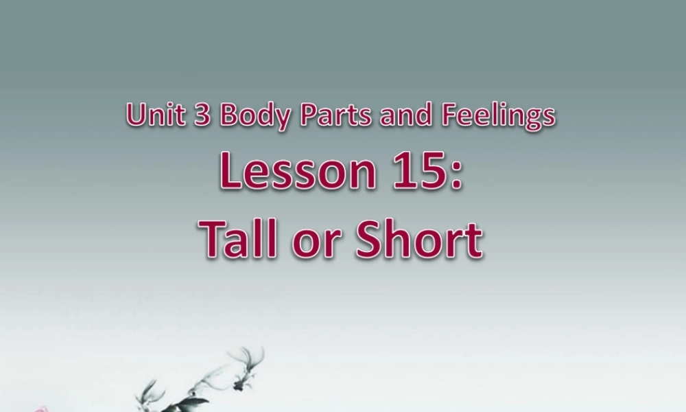 冀教初中英语七上《Lesson 15 Tall or Short》PPT课件 (2).ppt
