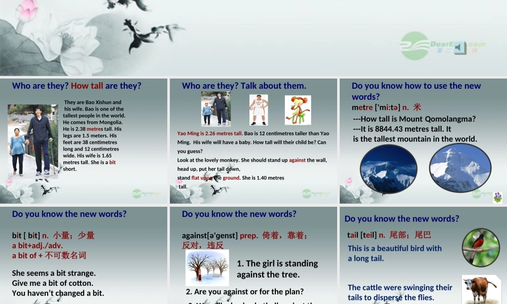 冀教初中英语七上《Lesson 15 Tall or Short》PPT课件 (2).ppt