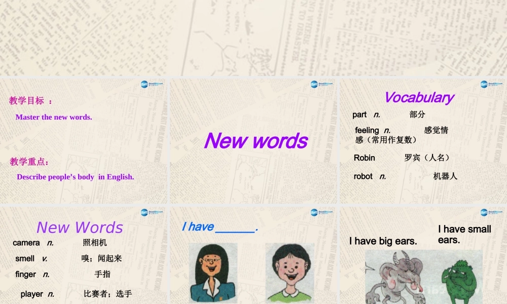 冀教初中英语七上《Lesson 13 Body Parts》PPT课件 (5).ppt