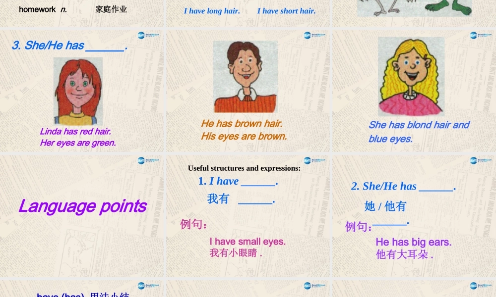 冀教初中英语七上《Lesson 13 Body Parts》PPT课件 (5).ppt