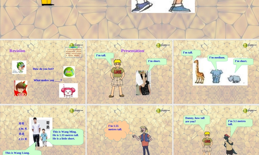 冀教初中英语七上《Lesson 15 Tall or Short》PPT课件 (3).ppt